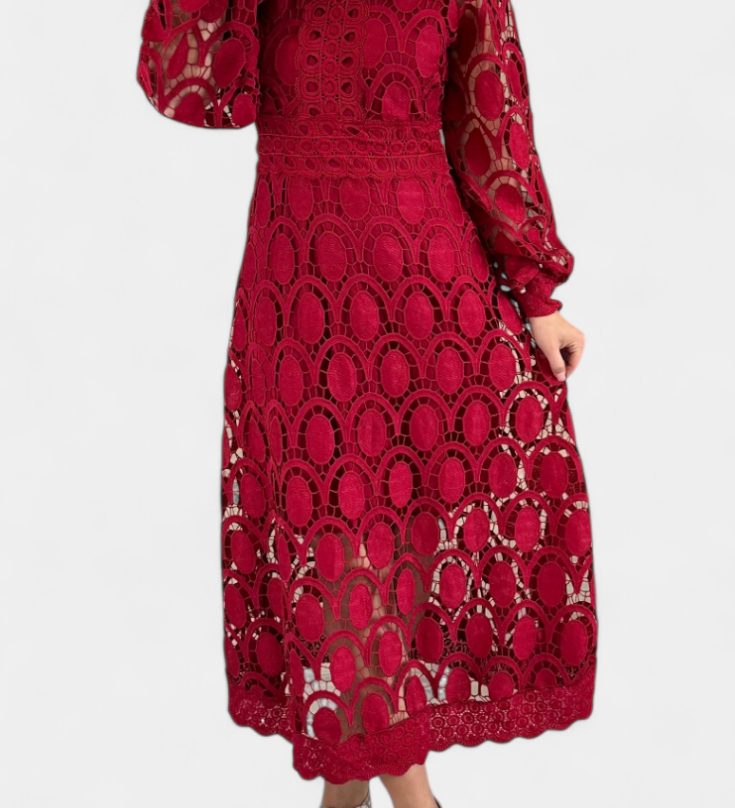 Jovie Vestido Midi de Encaje Bordado con Elegante Cuello Alto